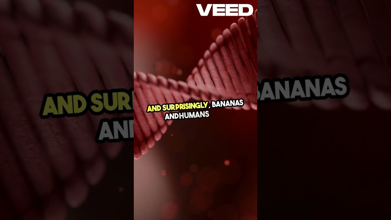 Humans and Bananas  DNA Surprises! 
