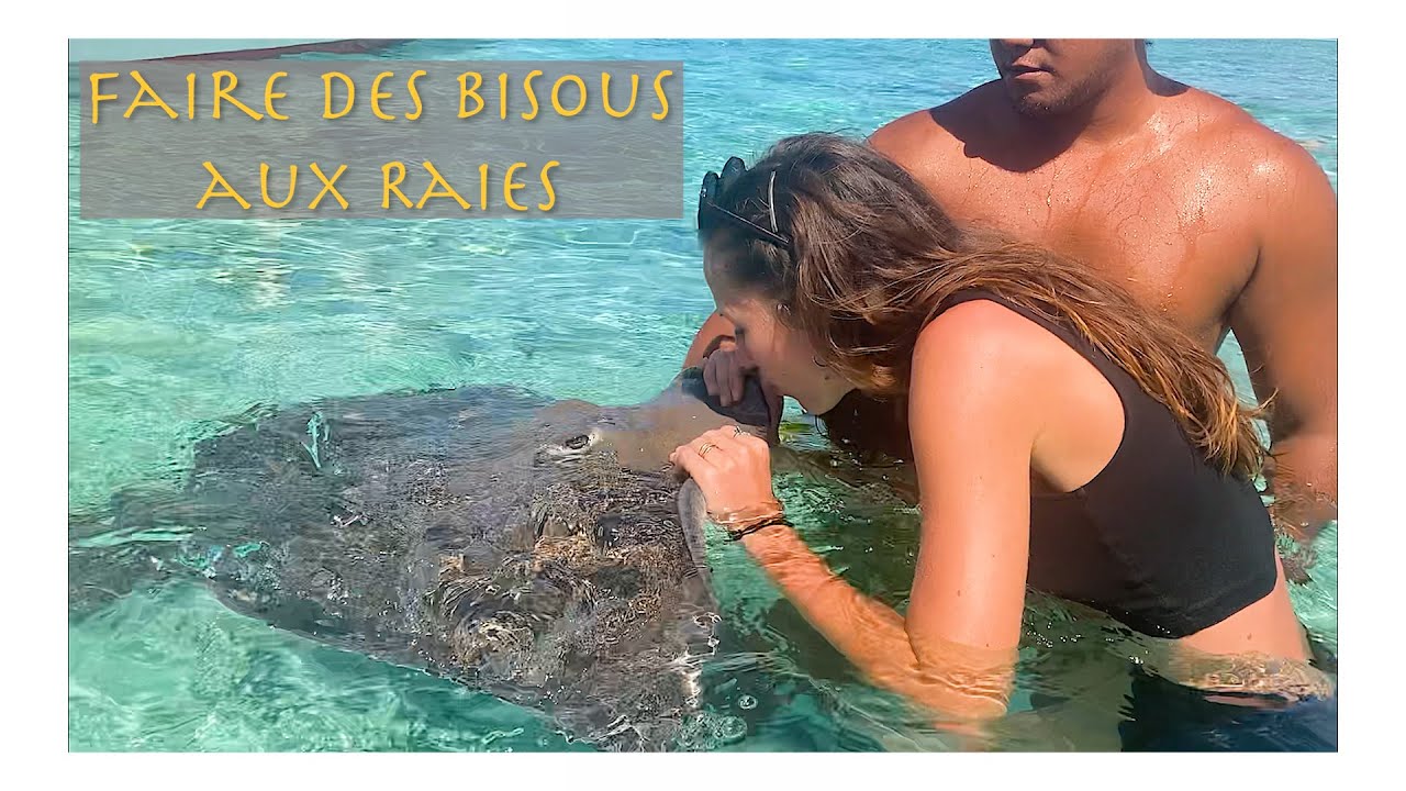 BORABORA MON AMOUR (part.I) Requins/Raies