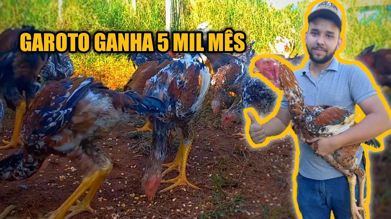 ELE ganha 5 MIL por mês APENAS com índio Gigante| índio Gigante Santa Rosa