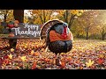Happy Thanksgiving
