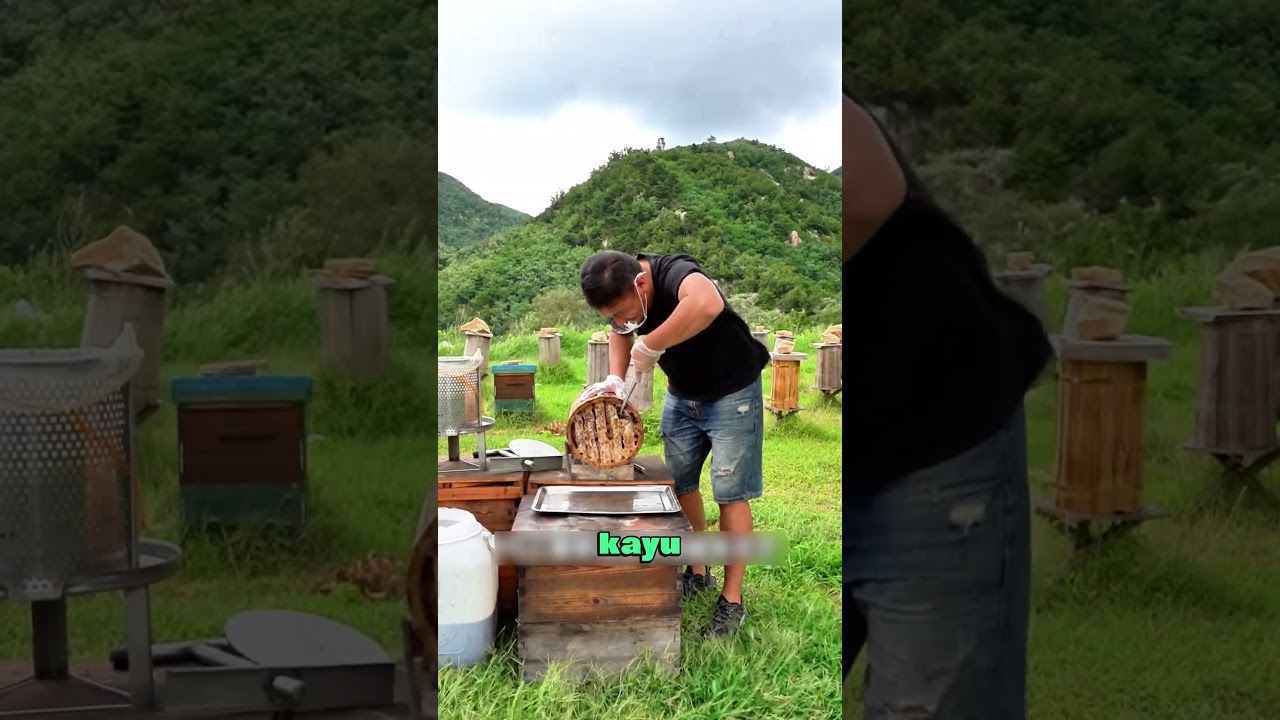 Budidaya Madu Alami 🍯