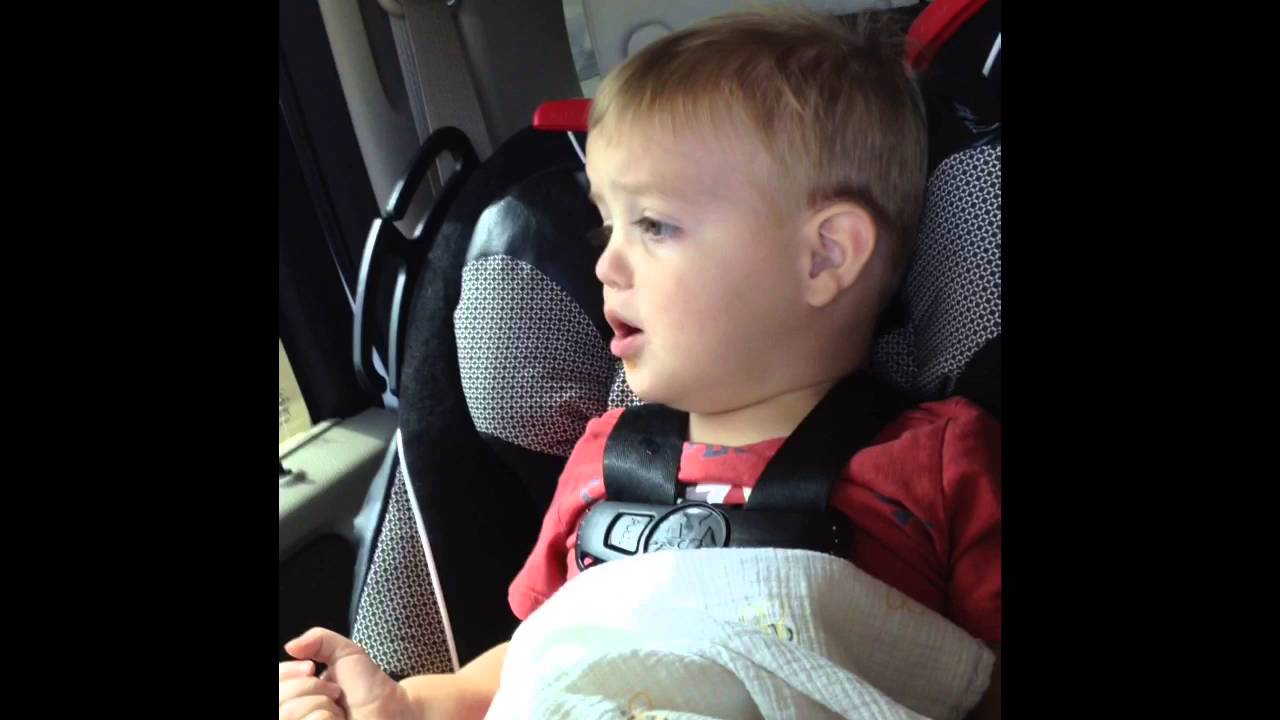 Toddler sees Arizona cactus 🌵 for first time ever