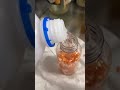 【制作動画】〜金木犀の香水の作り方〜(とても簡単です)【縦動画】