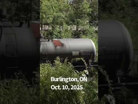 #train meet at Burlington, ON. #railway #shorts