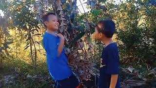 Si Bucil Ta Sumbalit