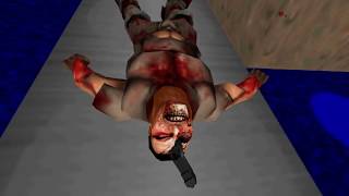 Doom2 VR gameplay | Gzdoom| 3D everything | boxel weapons | wmr