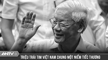 Người dân mọi miền đất nước bày tỏ tình cảm tiếc thương Tổng Bí thư Nguyễn Phú Trọng | ANTV