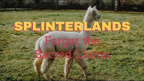 DO NOT BUY the SACRED LLAMA! | Splinterlands