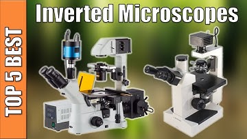 Best Inverted Microscopes 2020 - Top 5 Inverted Microscopes Reviews