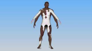 Body Registration Process