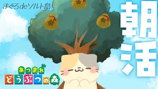 🌴まったり島生活！まぐろdeソルト島🌊【あつまれ！どうぶつの森/むぅたま VTuber】
