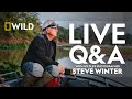 Steve Winter Live Q&A | Photographing Big Cats | National Geographic Wild UK