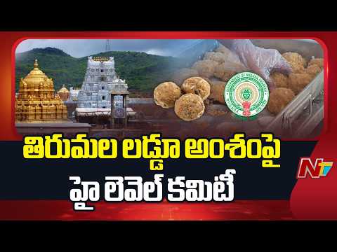 Tirumala Laddu Issue: తిరుమల లడ్డూ అంశంపై హై లెవెల్ కమిటీ | NTV Telugu - NTVTELUGU