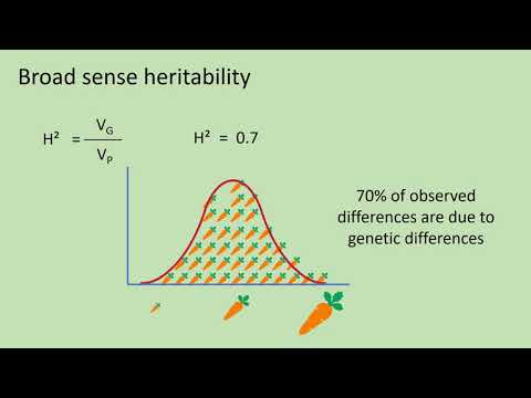 वीडियो: ब्रॉड सेंस हेरिटैबिलिटी बीएसएच और नैरो सेंस हेरिटैबिलिटी एनएसएच में क्या अंतर है?