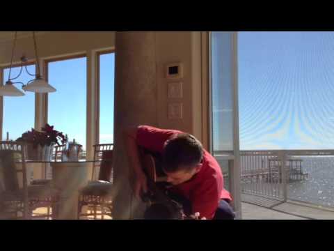 Assista a Drew Watson - Loop #1 no YouTube Assista a Drew Watson - Loop #1 no YouTube