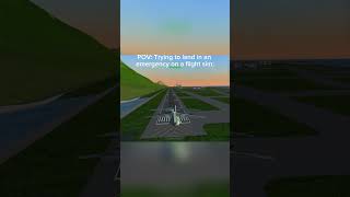 Pov Landing A Plane In An Emergency
