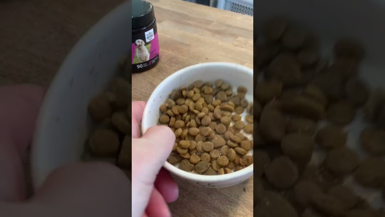 Should You Get Purina Pro FORTIFLORA Supplement  