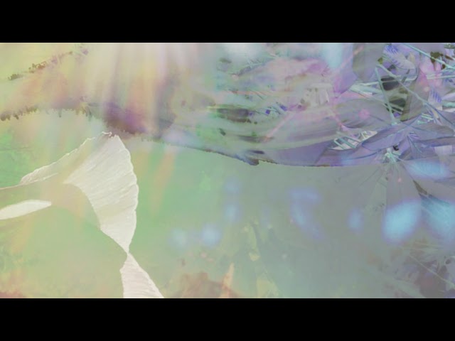 Watch callasoiled - megame on YouTube Watch callasoiled - megame on YouTube