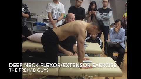 Quadruped Deep Neck Flexor and Extensor Exercise