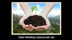 vancouver tree service