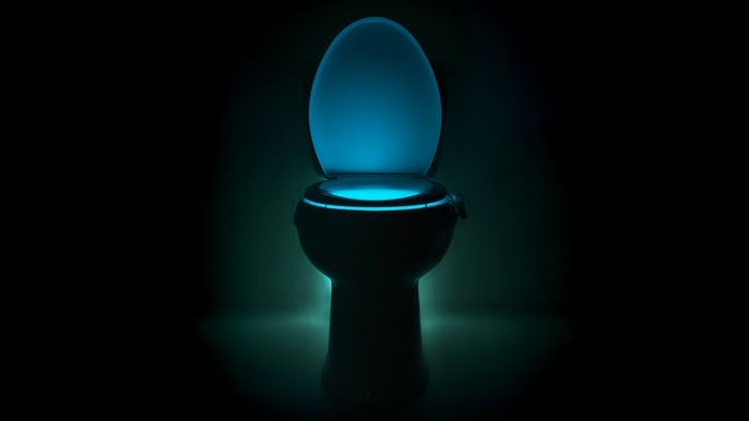 Toilet Bowl Light