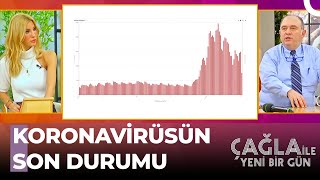 Vaka Sayısı Açıklandı, İstanbul Zirvede - Çağla Ile Yeni Bir Gün 752. Bölüm