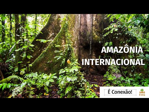 O que é a Amazônia Internacional? | #ÉConexão!