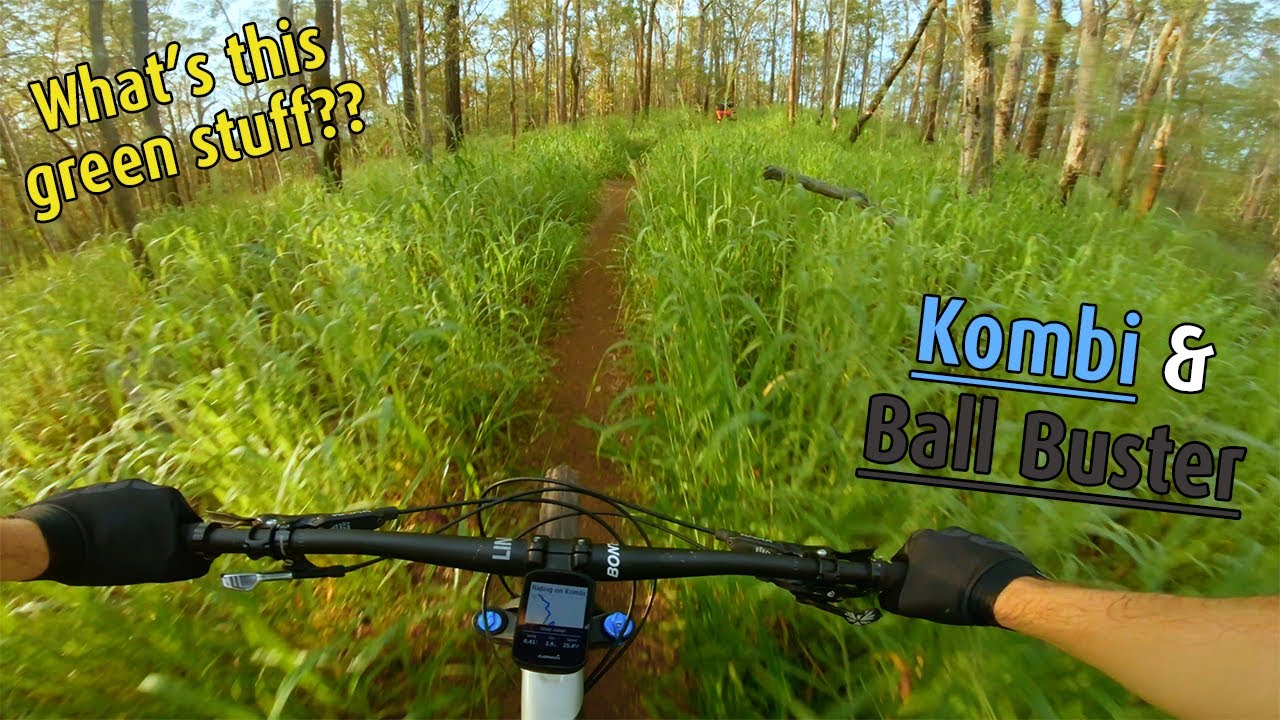 Have These Trails Held Up After The Rain Samford Early Morning Ride have-these-trails-held-up-after-the-rain-samford-early-morning-ride