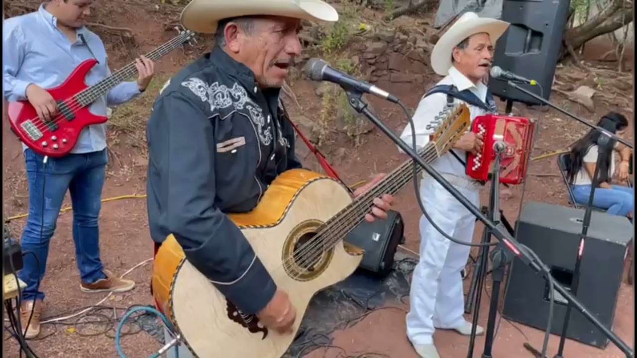 Los Michoacanos del Pinzan de Eugenio Valle 