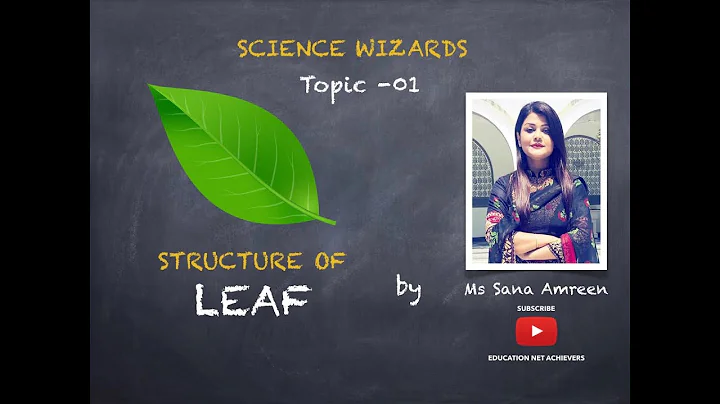 STRUCTURE OF LEAF | SANA AMREEN | SCIENCE WIZARDS ...
