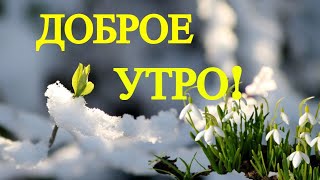 Доброе Утро!Я жду Весну.И думаю,ты тоже!Красивое Музыкальное Поздравление Хорошего дня!