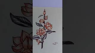 My drawing collections #youtubeshorts #youtube #ytshorts #art #artist #drawing #learning #ink