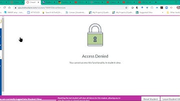 Accessing Conferencing in Canvas for Students