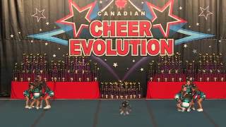 Cheer Sport - Graceful Sharks - Tiny 1