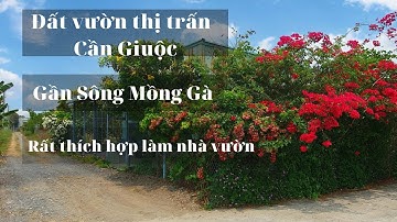 Đất vườn giá rẻ| Diện tích 500m2, đường xe hơi 7 chỗ, SHR, giá chỉ 4 triệu/m2| LH: 0339.665.442