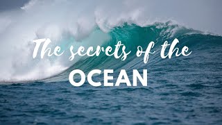 Secrets of ocean // The World Beneath the Waves EP-1
