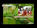 Vachana ក្អមសំណវិបស្សនាព្រំដែន 15 បកធម៌ និងការធ្វើសមាធិបន្ត ដោយព្រះធម្មា...
