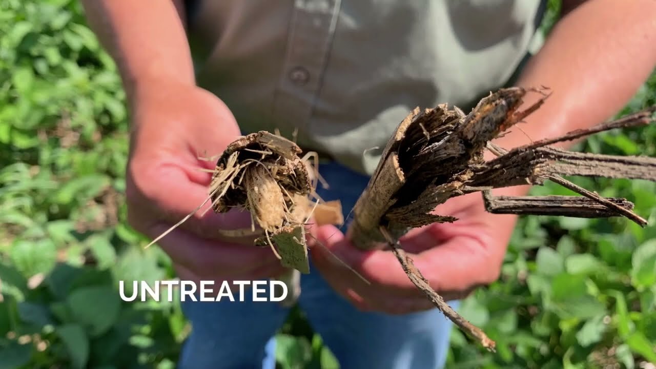 Breaking Down Crop Residue with CX-1