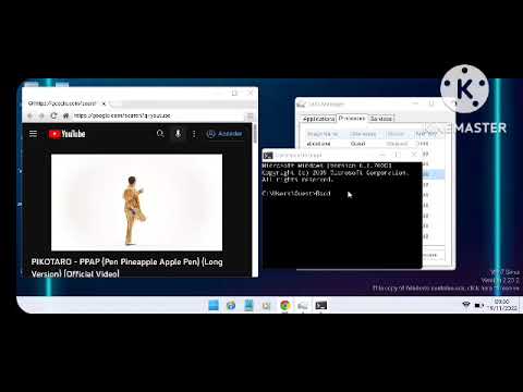 Windows 11 PPAP Has BSOD (Win7 simulator)