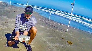 Micro-Shark Fishing W Thresherfishing Encounter With Hardhead Catfish