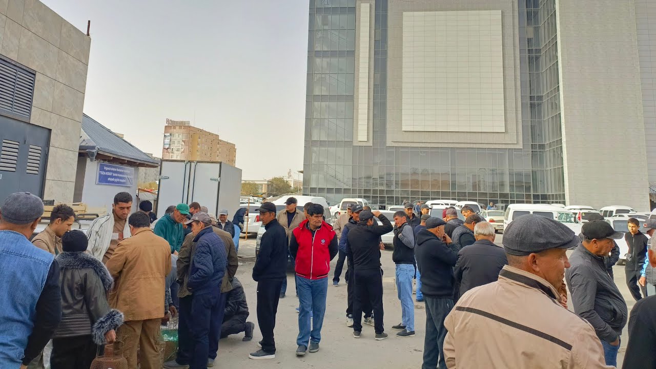 Урганч каптар бозори 02.11.2025 | 2 кисм