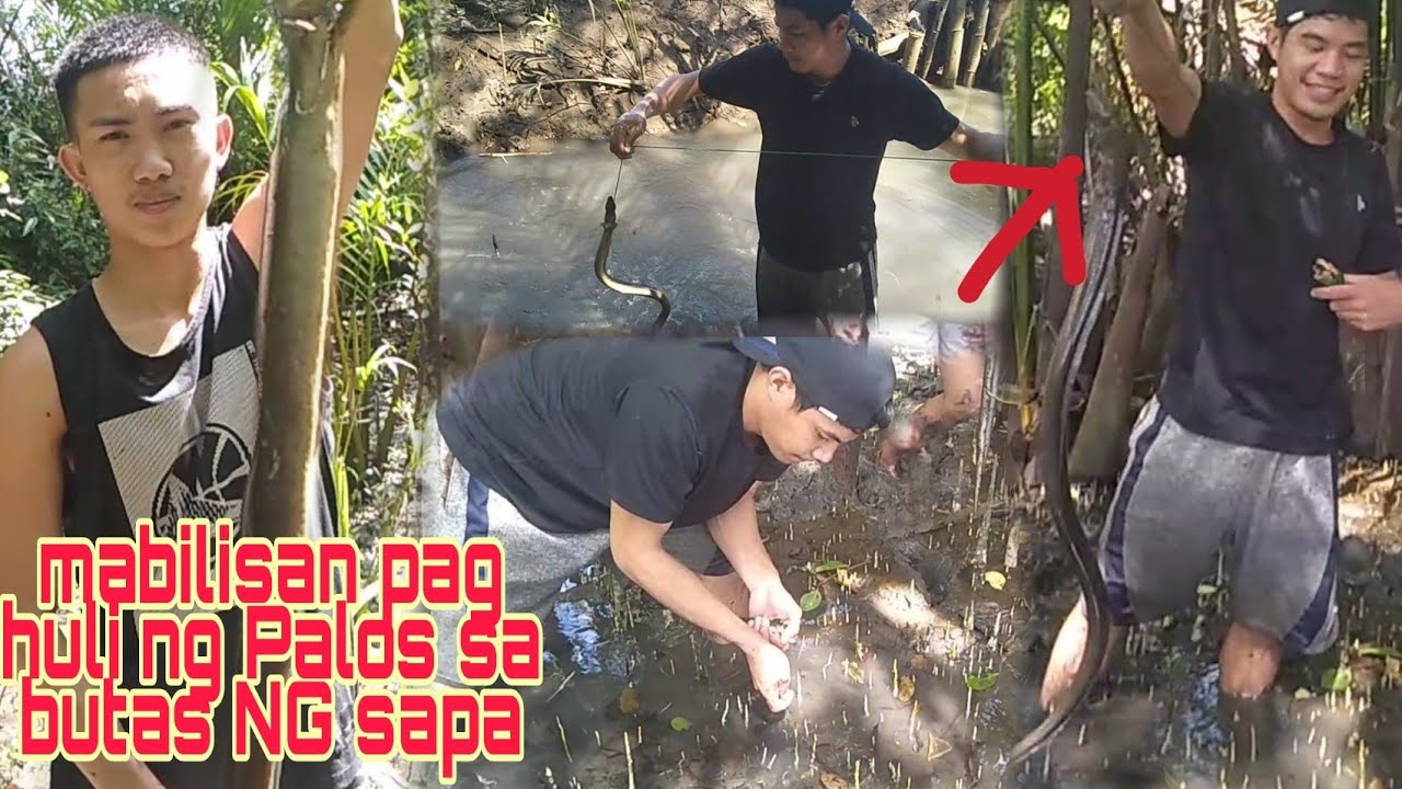 episode-13 catching giant (EEL/PALOS) HALOS MAPUTOL PA YUNG LUBID  SA Laki NG palos