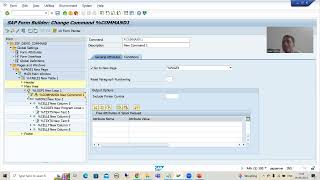 65 - Smartforms - Concept of Command Part4 Net Worth