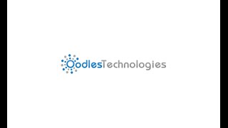 Software Development Team Leader