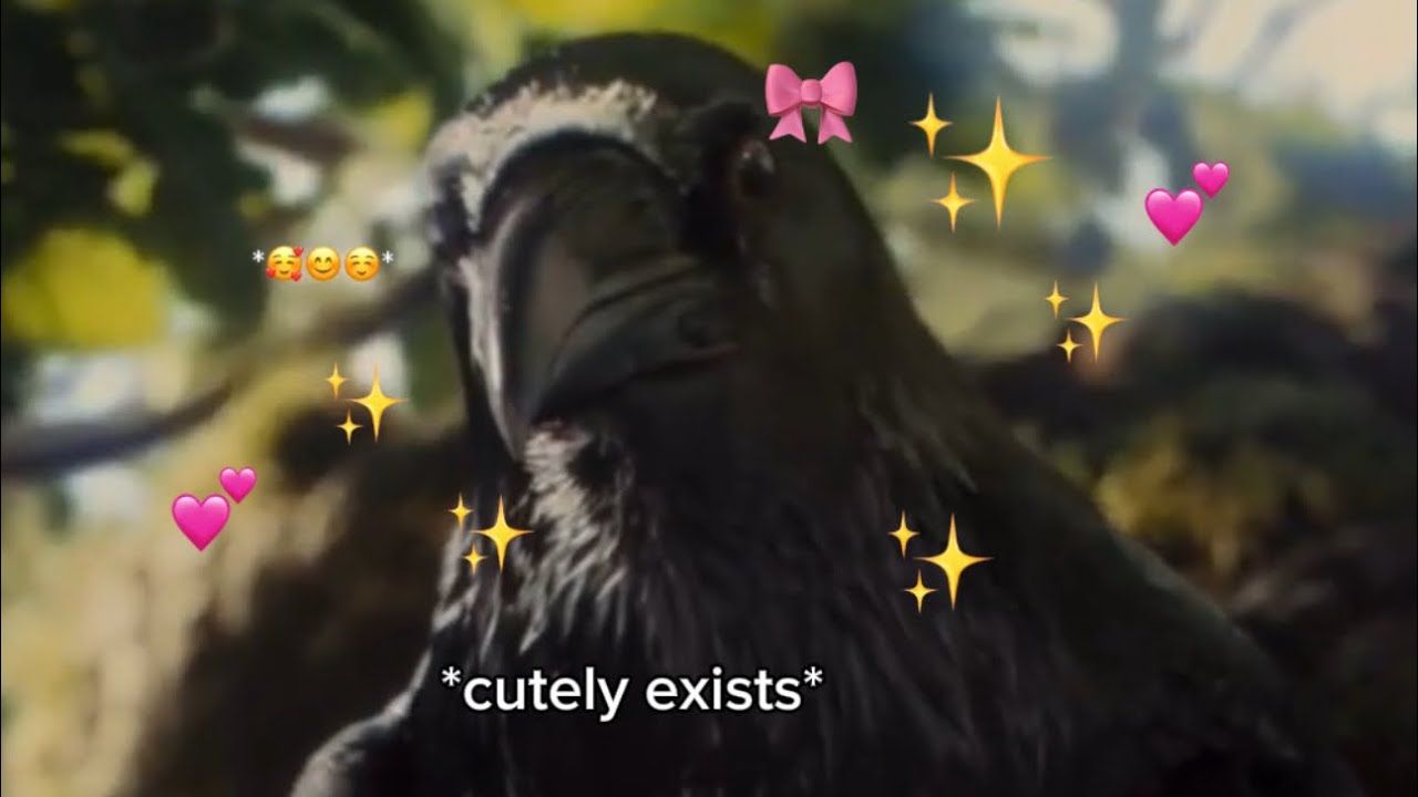 Diaval being my favourite character for 4 minutes and 49-50 seconds