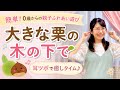 大きな栗の木の下で【簡単!0歳からの親子ふれあい遊び】優しい耳ツボでリラックスしよう
