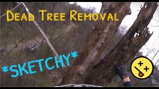 Dead Crispy Removals (Arborist POV)