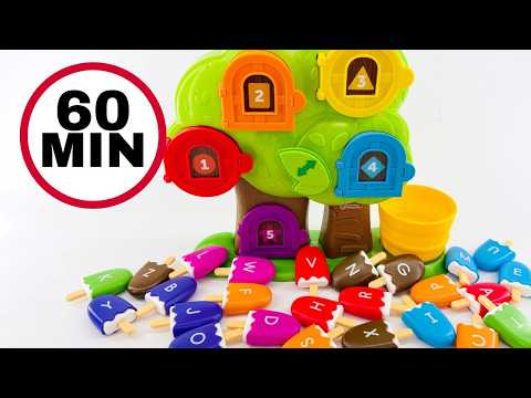 Best Counting Toy Video! Numbers & Colors Educational Toy Learning Activity #preschool