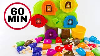 Best Counting Toy Video! Numbers & Colors Educational Toy Learning Activity #preschool