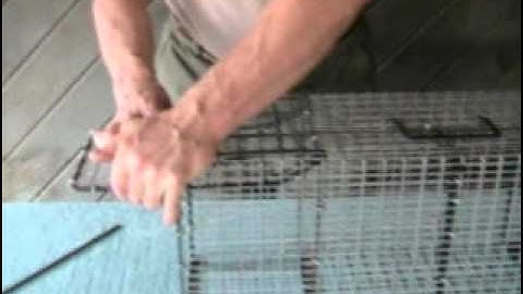 Live Cage Trap by Comstock Cage , new fast setting.